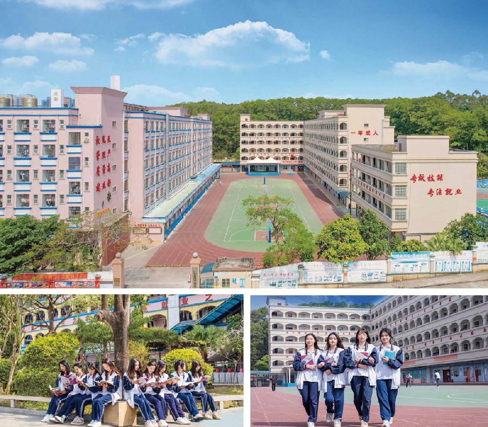学校概况用途